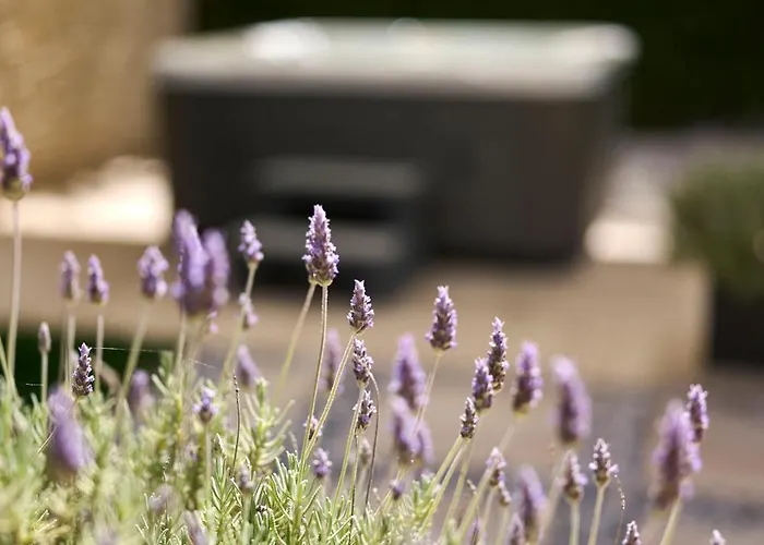 Apartamento Martello Forest View