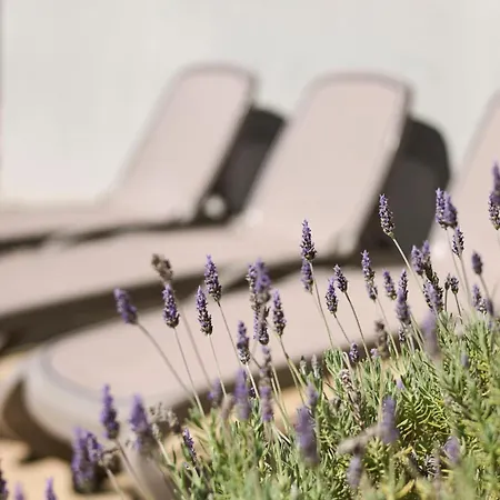 Martello Forest View Porec