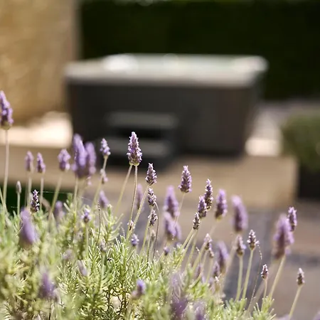 Apartment Martello Forest View