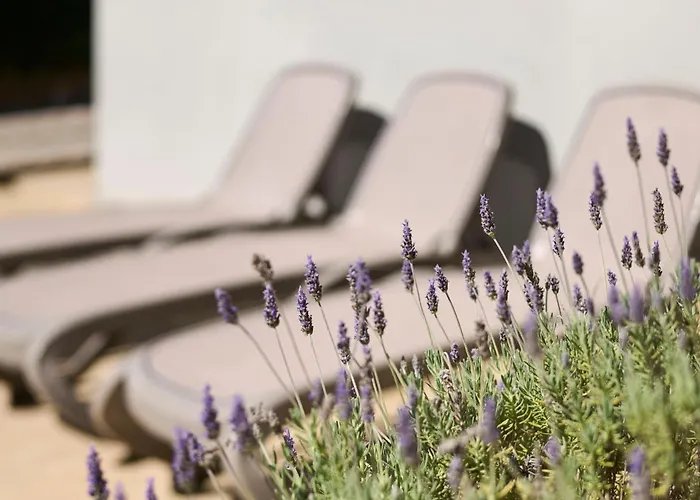 Martello Forest View Poreč