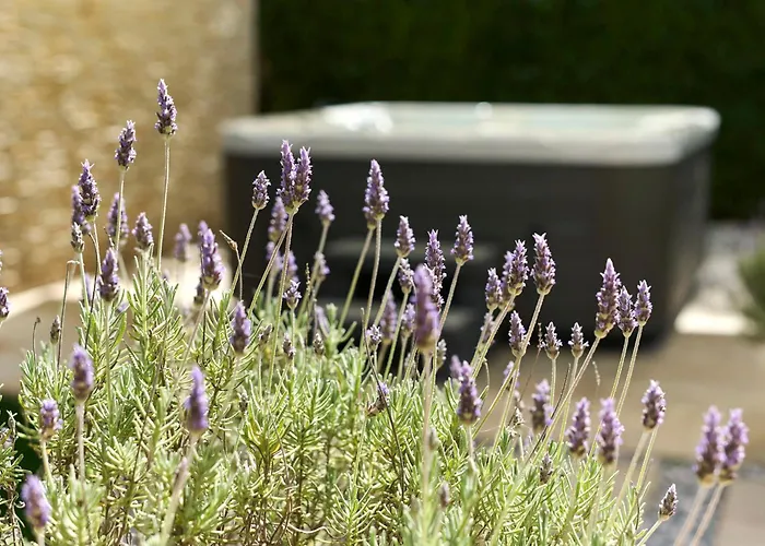 Martello Forest View Lägenhet