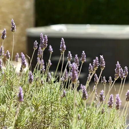 Martello Forest View Apartman